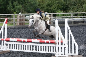 Class 6 - Fences not above 2'9